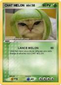 CHAT MELON