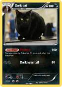 Dark cat