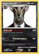 Mister cat