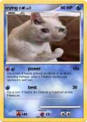crying cat