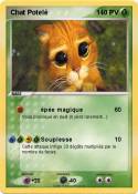 Chat Potelé