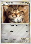 Funny Cat