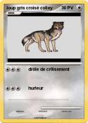 loup gris