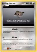 Ceiling Cat