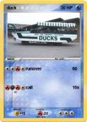duck