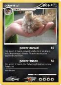 pouwer