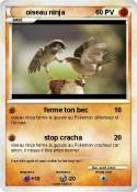 oiseau ninja