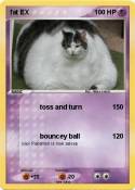 fat EX