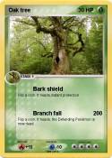 Oak tree