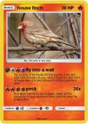 house finch
