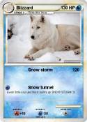 Blizzard