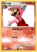 Fire Luigi