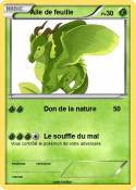 Aile de feuille