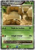 super tortue