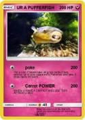 UR A PUFFERFISH
