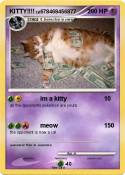 KITTY!!!!