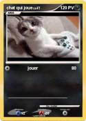 chat qui joue
