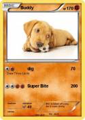Buddy