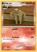 Normal cat.