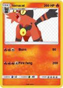 torracat