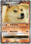 Doge