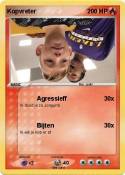 Kopvreter