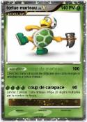 tortue marteau
