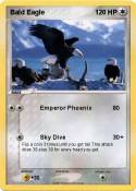 Bald Eagle