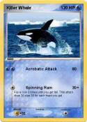 Killer Whale