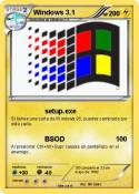 Windows 3.1