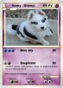 Husky
