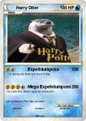 Harry Otter