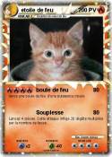 etoile de feu