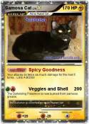 Samosa Cat
