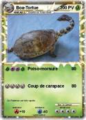 Boa-Tortue