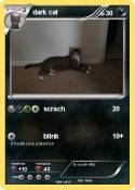 dark cat