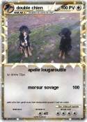 double chien