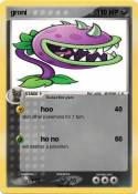 groni