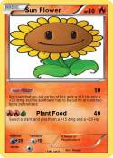 Sun Flower