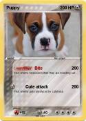 Puppy