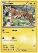 tiger