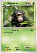 Chimpanzee