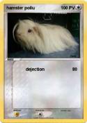 hamster poilu