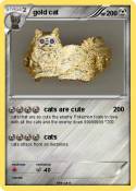 gold cat