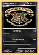 charly potter