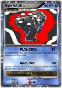 Tigre MAGE