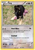 Dog