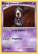 dogue allemand