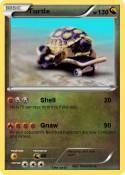 Turtle