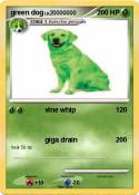 green dog